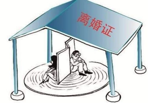 杭州公司：欠债一套房可以拍卖吗